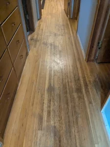 Old hardwood floor with dark staining and wear before refinishing