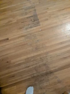 Close-up of stained and damaged hardwood floorboards before refinishing